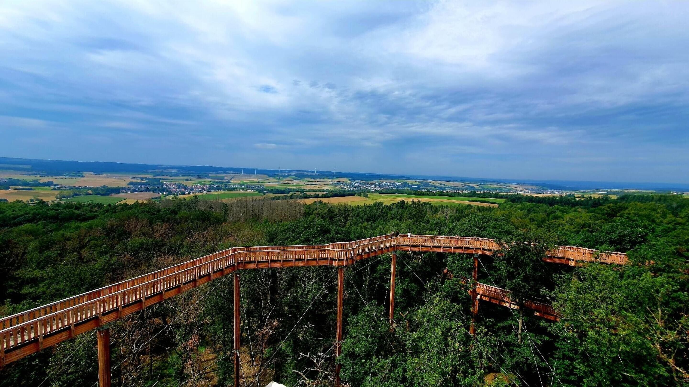 A wooden bridge with a curved design, surrounded by dense forest and overlooking a distant town.