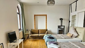 Een gezellige kamer met een bank, twee bedden, een televisie en een houtkachel.