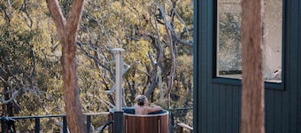 Tiny Wombat and Wallaby - Dural