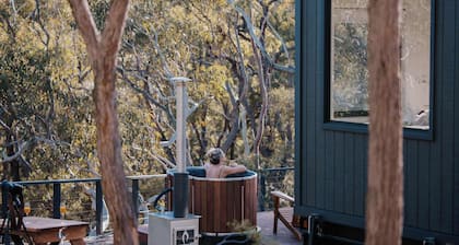 Tiny Wombat and Wallaby - Dural