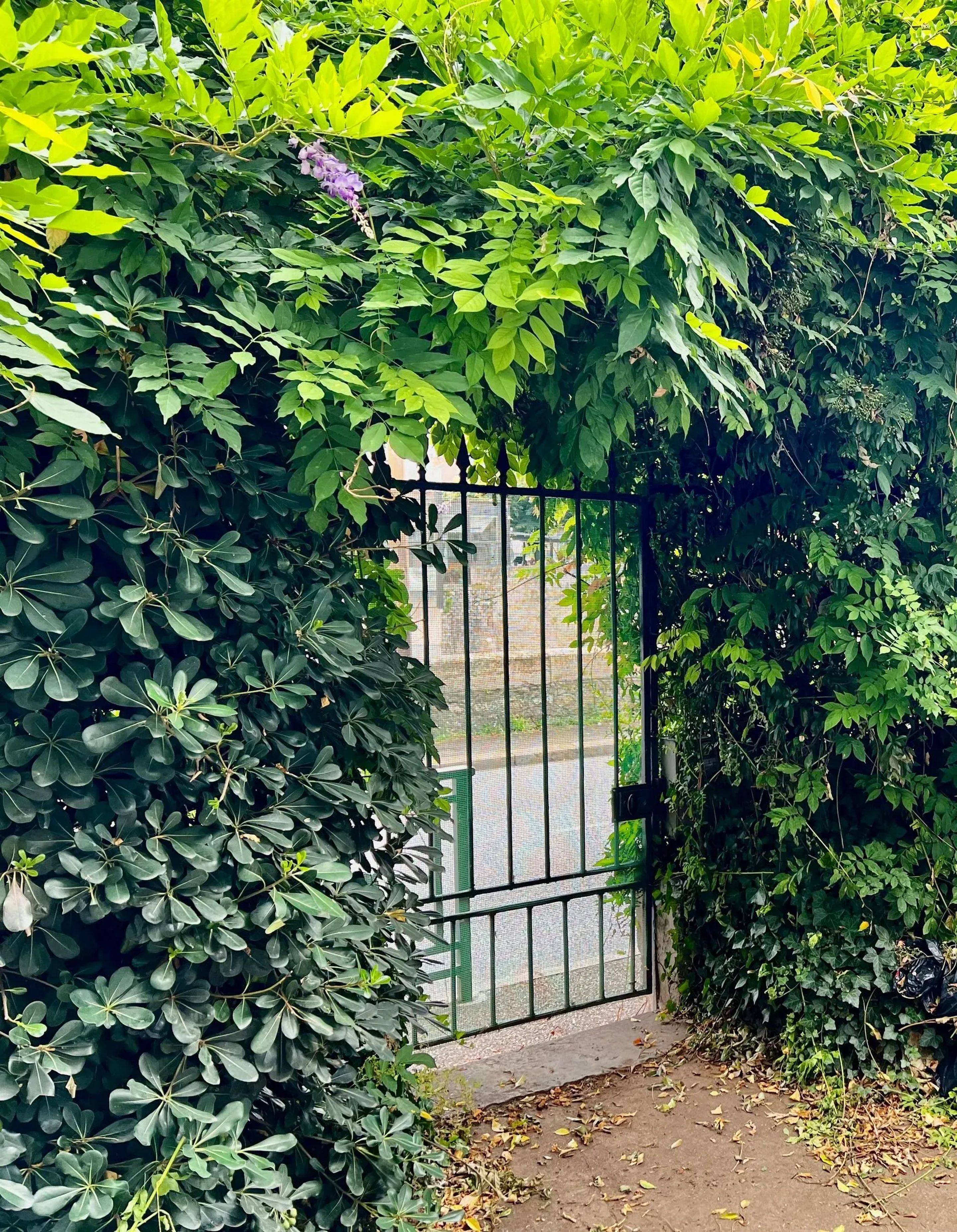 Entrance