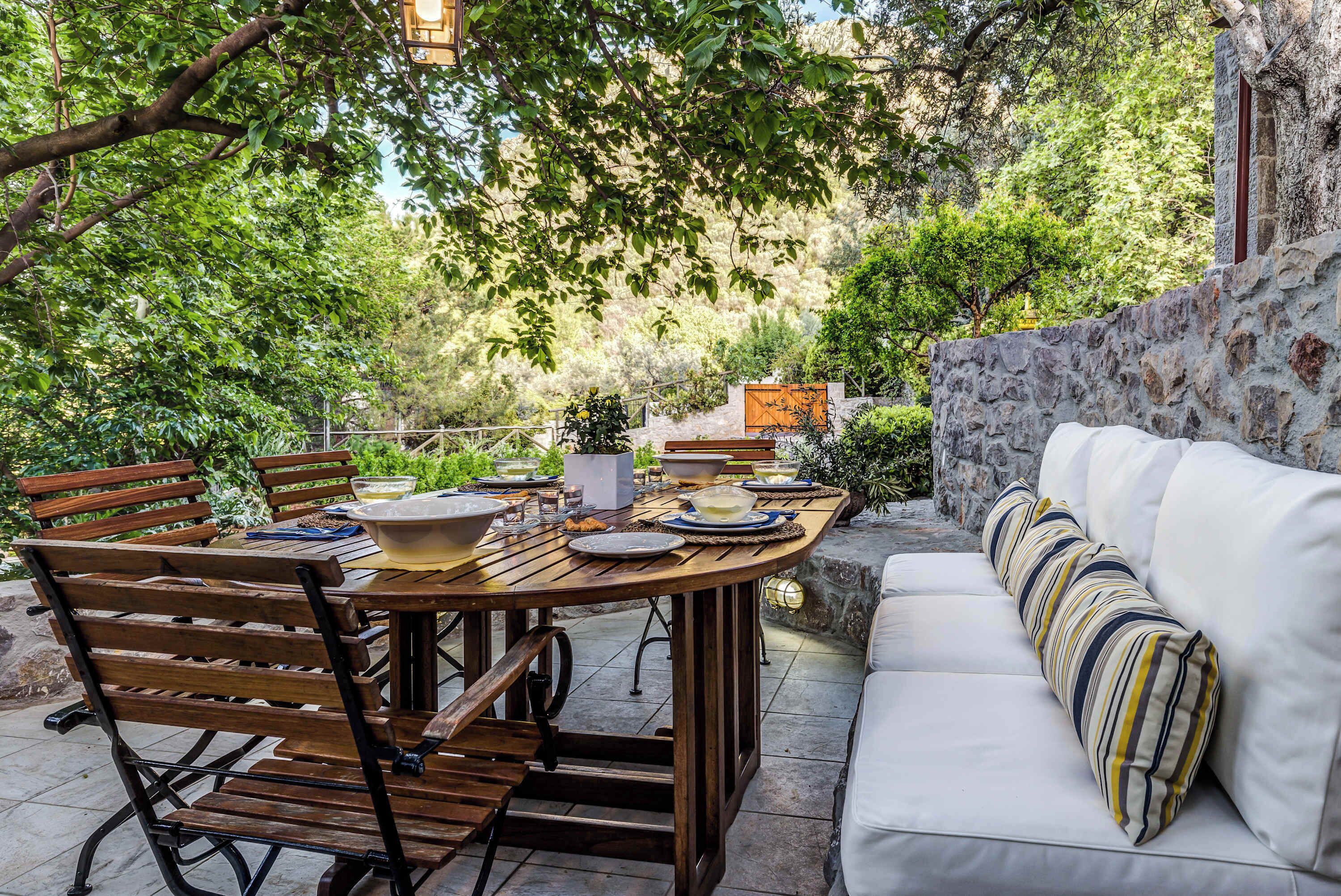 Shaded Outdoor Seating Area Beneath Mature Trees
