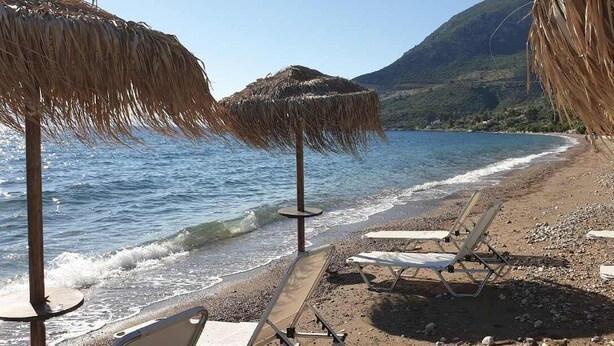 A beach with thatched umbrellas, lounge chairs, and a rocky shoreline. - Epidavros Villas -  Dafni Stone & Garden Retreat (Nea Epidavros)