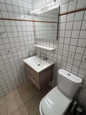 Shower, hair dryer, towels, shampoo - Epidavros Villas -  Dafni Stone & Garden Retreat (Nea Epidavros)