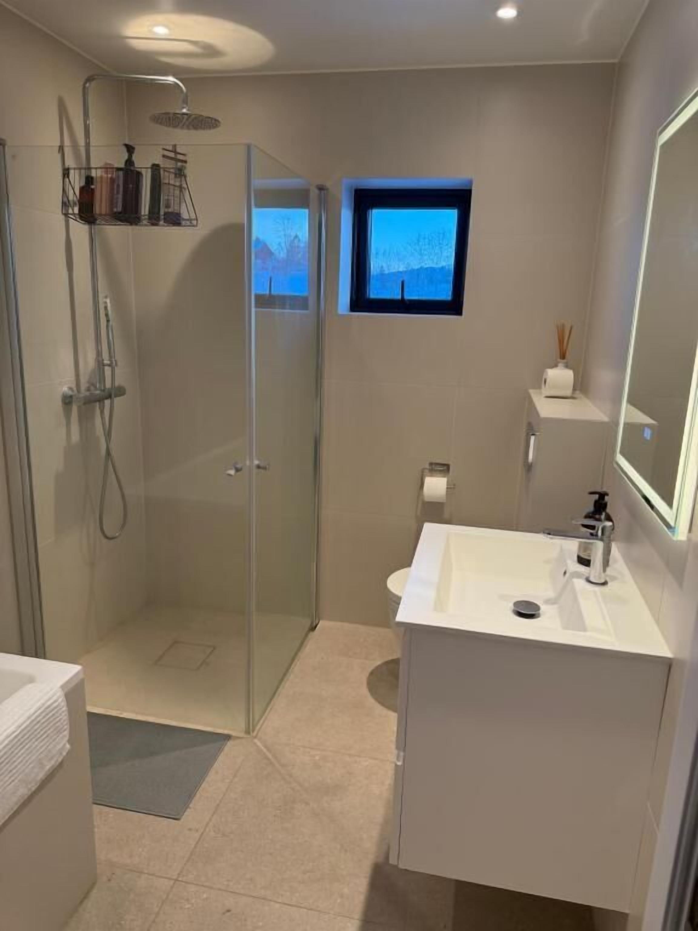 Shower, hair dryer, towels