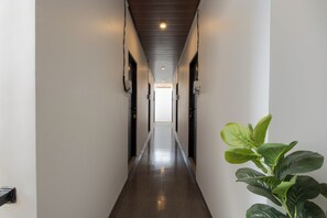 A long, narrow hallway with a wooden ceiling and a plant on the right.
