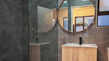 Shower, hair dryer