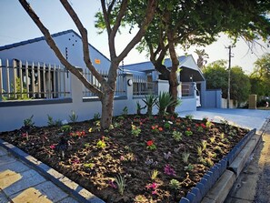 Property grounds - Queen Superior Cozy En-Suite Courtyard Room (Cape Town)