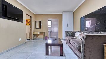 TV, lareira, livros