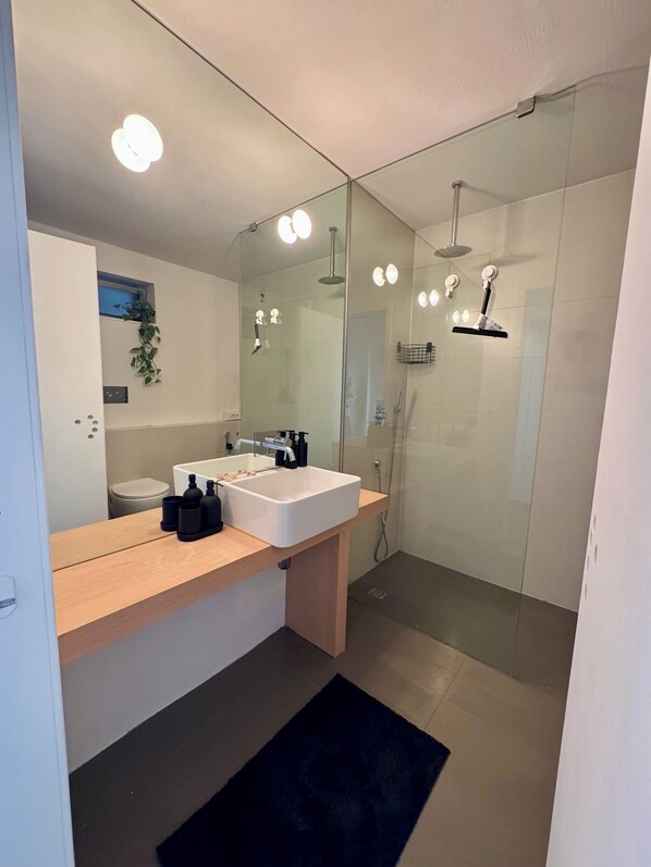 Regadera, secadora de cabello, bidet, toallas 