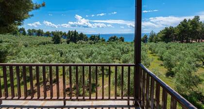 Villa Elva by Rentals Pro - Metamorfosi Halkidiki