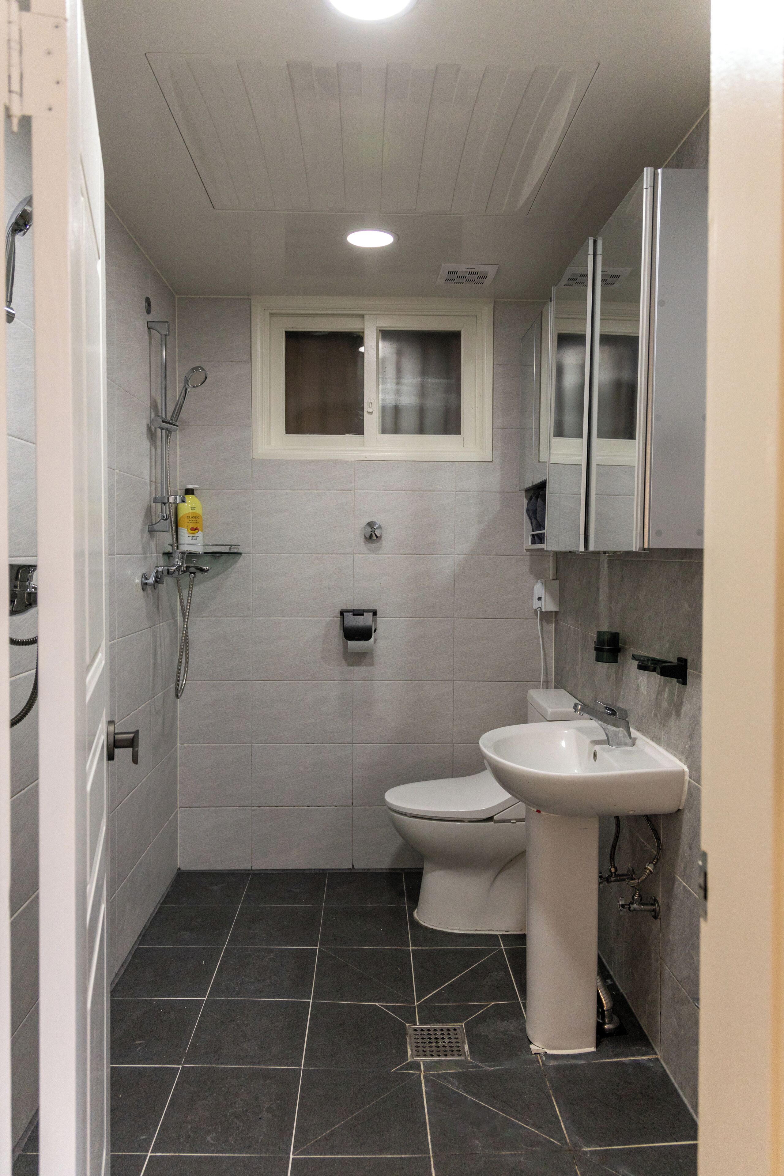 Shower, hair dryer, bidet, towels