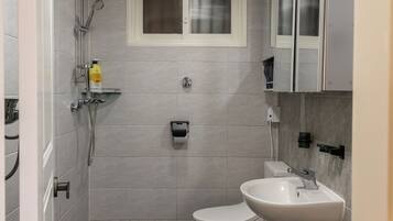 Shower, hair dryer, bidet, towels