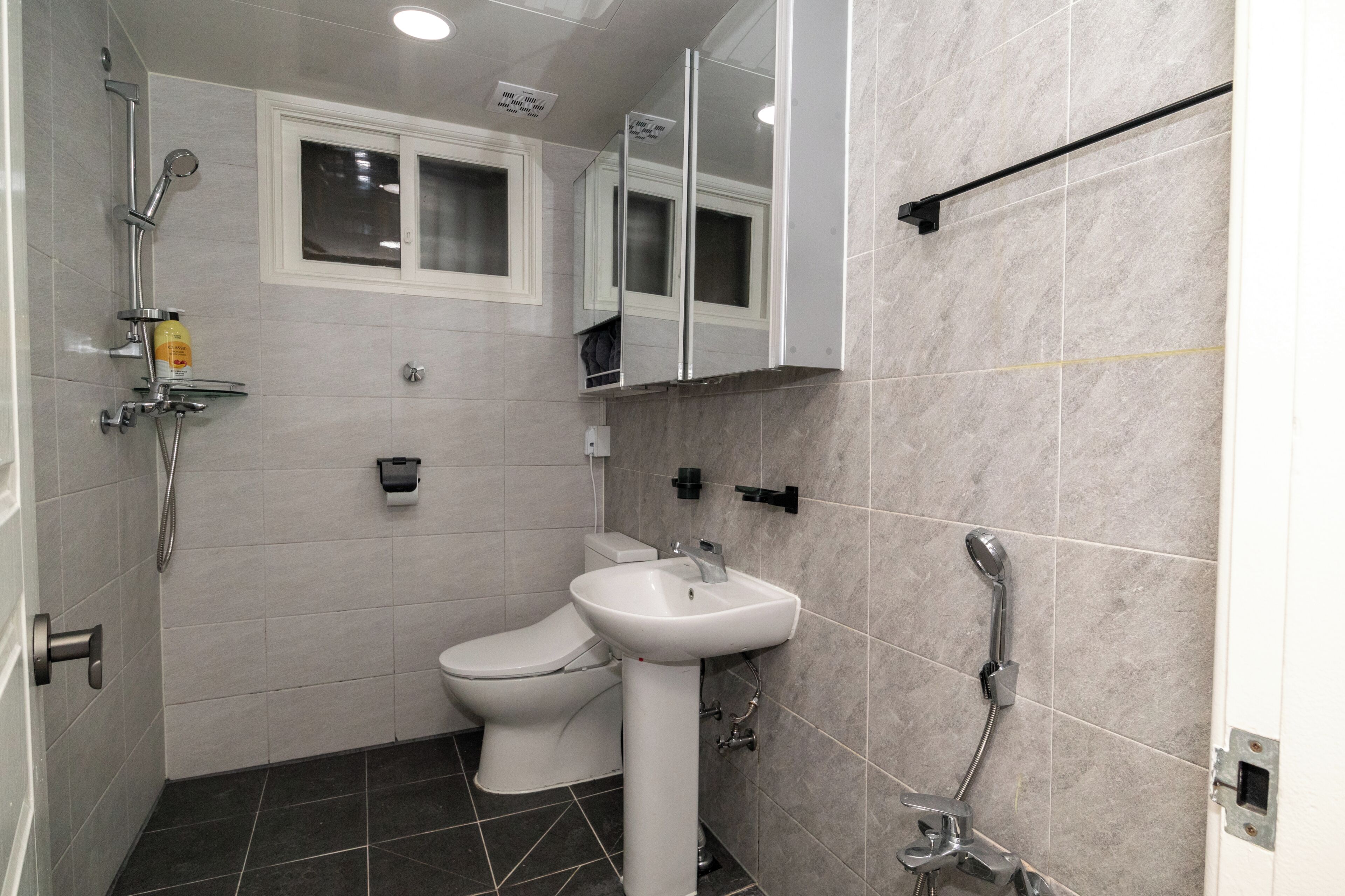 Shower, hair dryer, bidet, towels