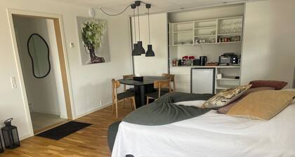 Nice room Fredericia