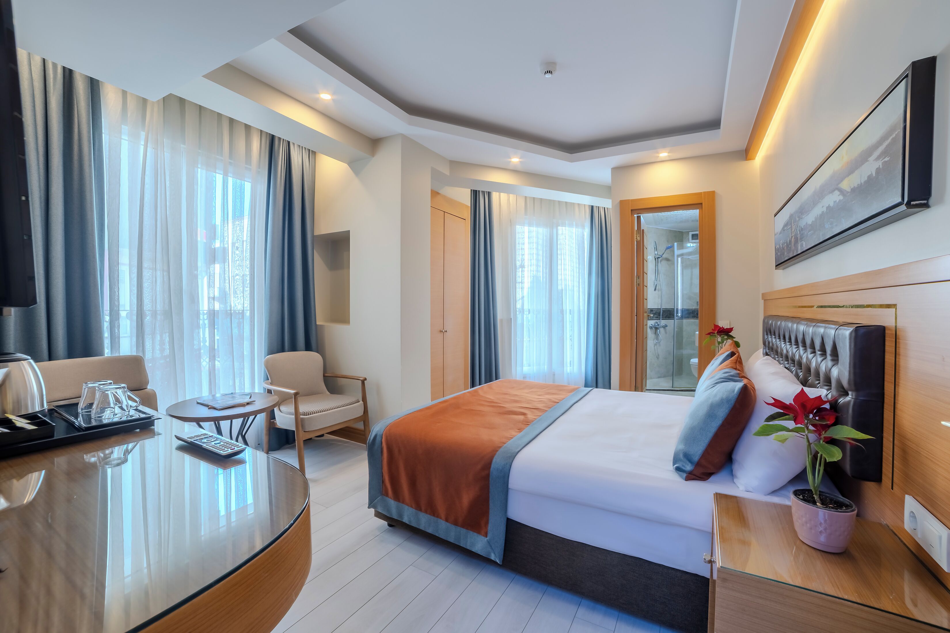 غرفة كلاسيكية مزدوجة أو بسريرين منفصلين - منظر للمدينة