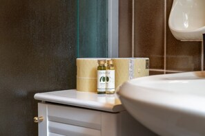 Regadera, secadora de cabello, bidet, toallas