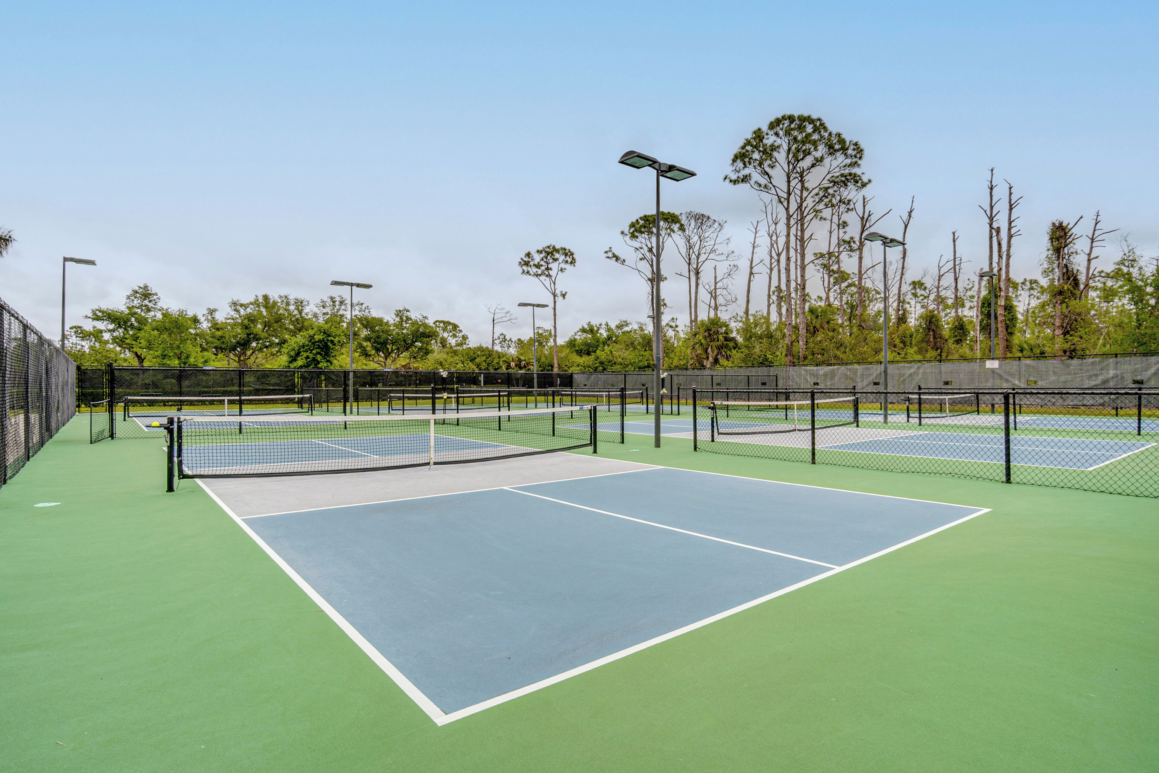 Canchas de tenis múltiples, rodeadas por una cerca y árboles al fondo.