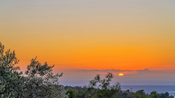 Um pôr do sol sobre uma paisagem costeira com árvores ao primeiro plano.