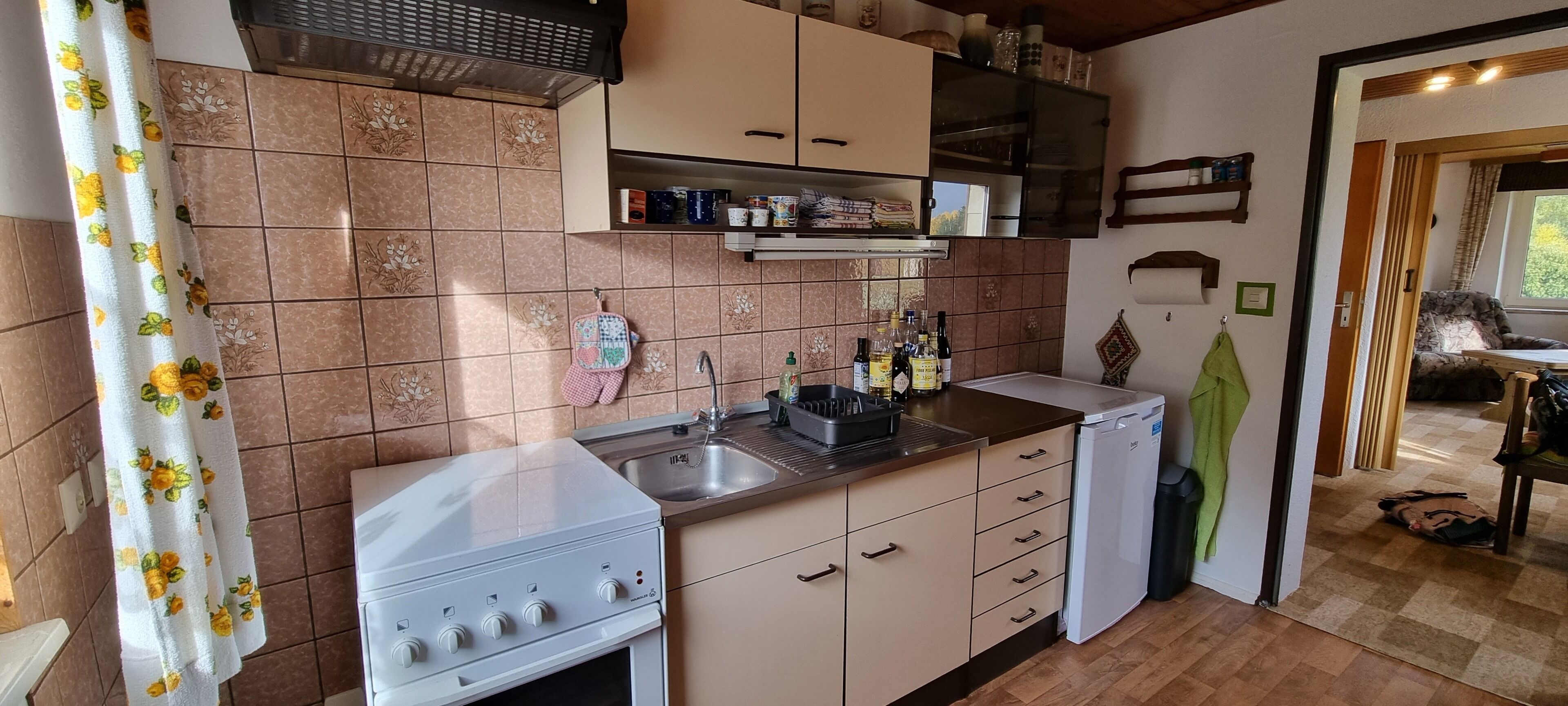 Frigorífico, microondas, horno y placa de cocina