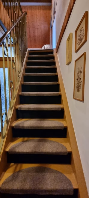 A staircase with carpeted steps, wooden handrails, and wall-mounted artwork.