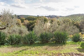 Comfort-hus - 1 soveværelse | Have