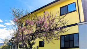 A yellow building with a tree in front. - Onsengunyado (Toon)