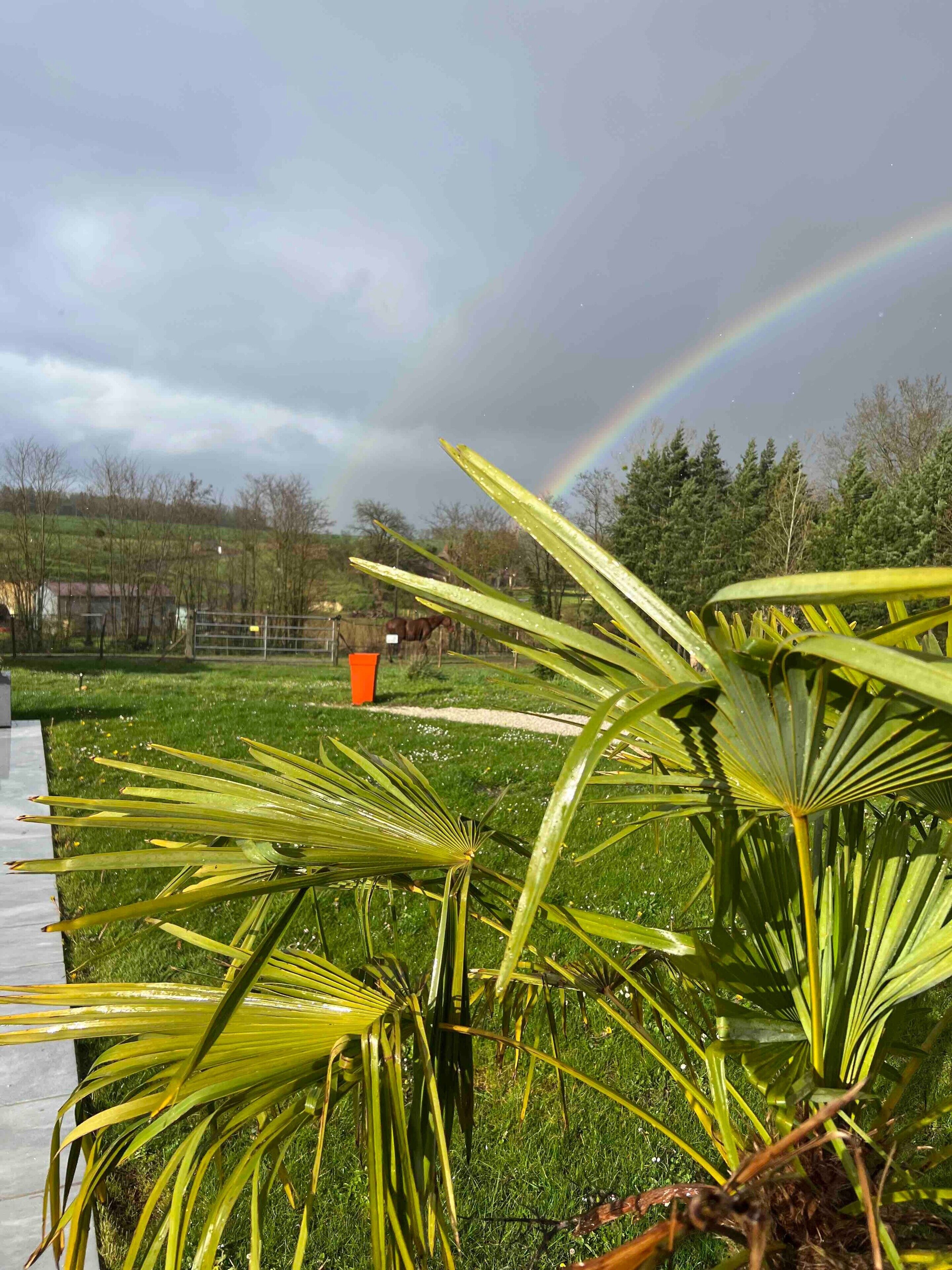 Àrea exterior de l'allotjament