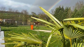 Àrea exterior de l'allotjament