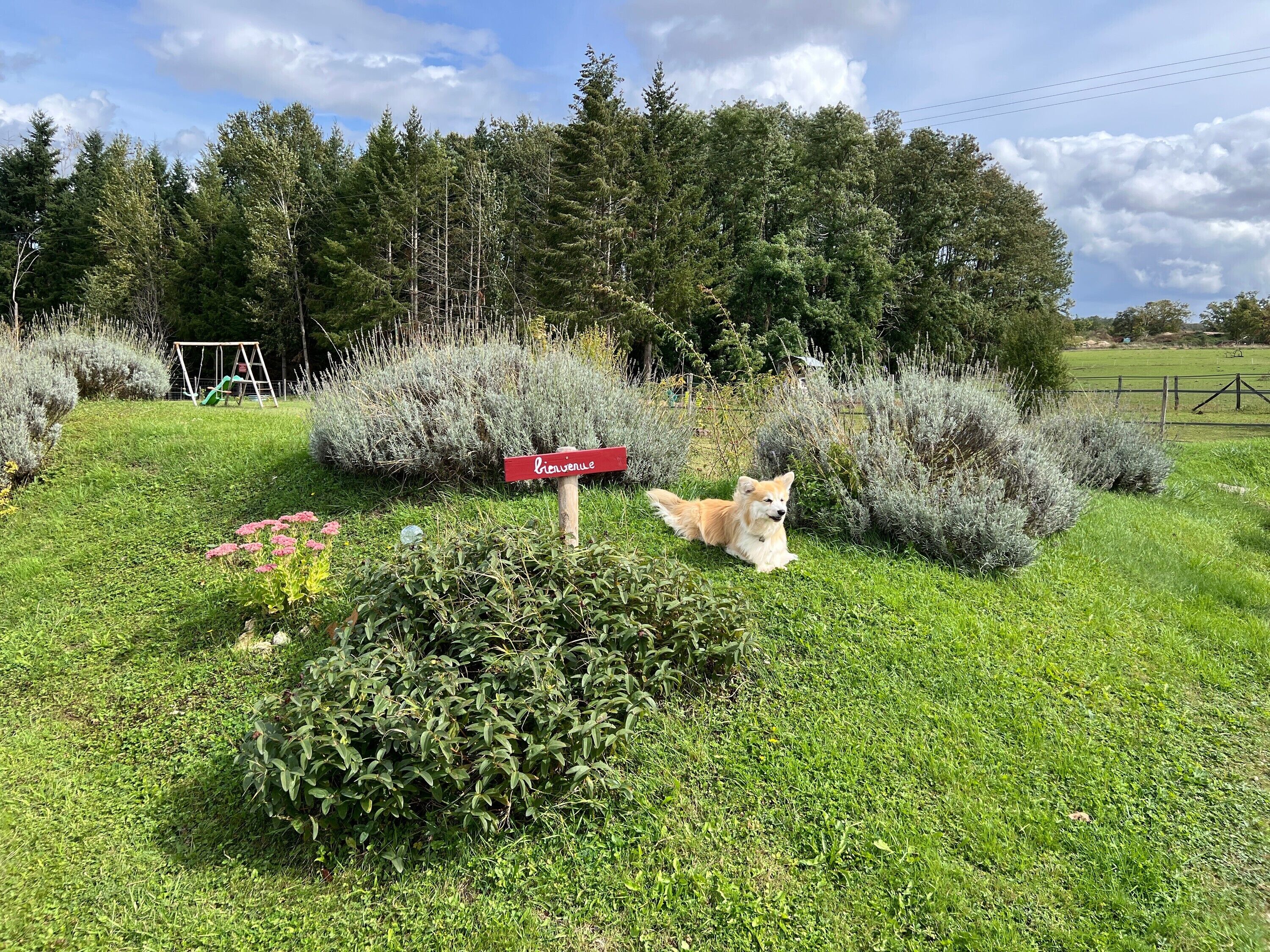 Áreas de la propiedad