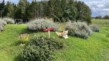 Áreas de la propiedad