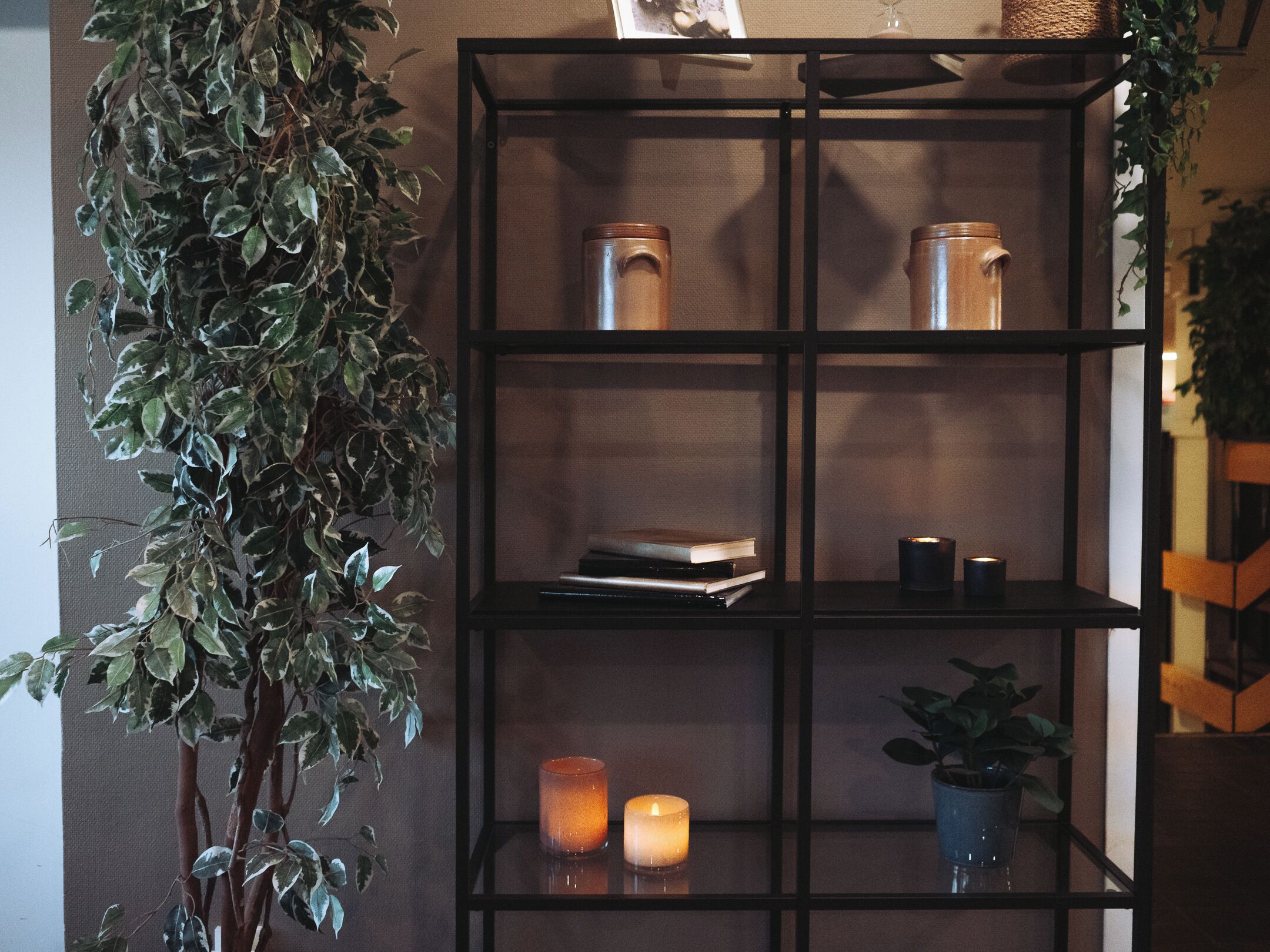 Una estantería con libros, velas y una planta en maceta.