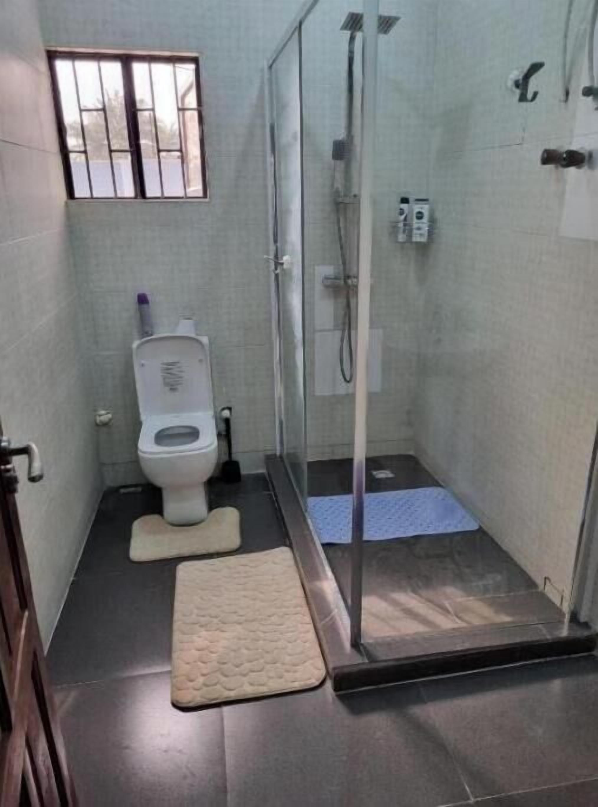 Shower, towels, toilet paper