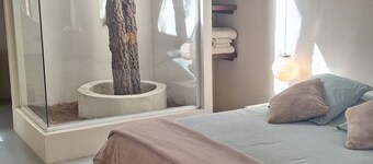 Bed and Breakfast Rentals with Breakfast in Tenerife on