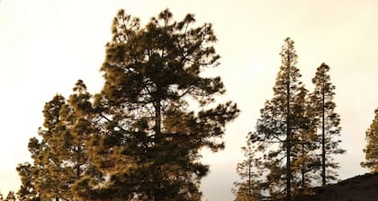 Bed and Breakfast in the Canaries