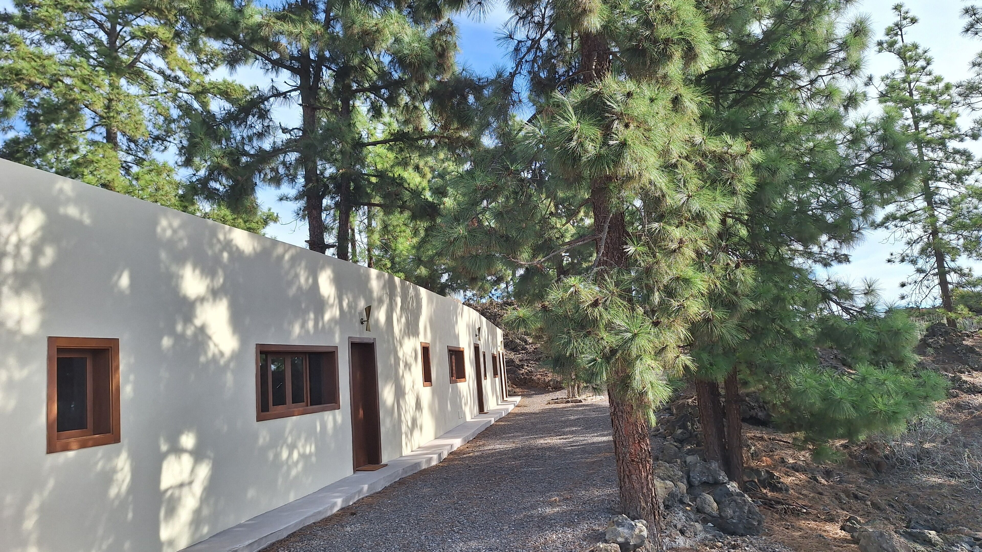 A modern building with a white facade, multiple windows, and a gravel pathway leading to a wooded area.