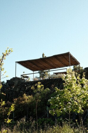 Miscellaneous - Bed and Breakfast in the Canaries (Chio)