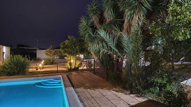 Une piscine, des palmiers et une allée pavée, le tout illuminé la nuit.