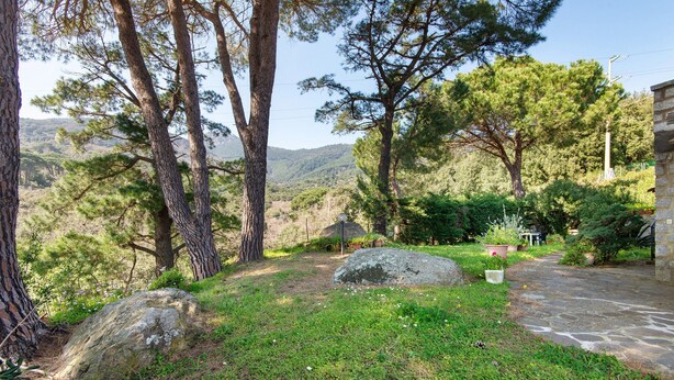 Un camino de piedra que lleva a un edificio, rodeado de árboles y un área con césped.