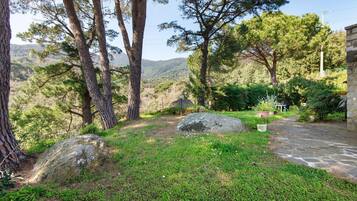 Terrain de l’hébergement