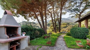 Un sendero de piedra conduce a un área de estar rústica al aire libre con una parrilla incorporada, rodeada de abundante vegetación y árboles.