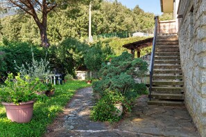 A stone staircase leading to a wooden structure, surrounded by lush greenery and potted plants.