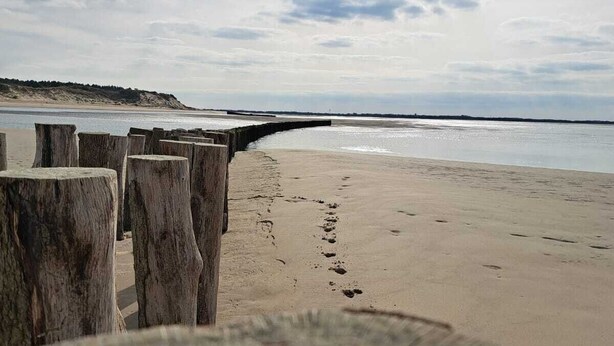 Ein Strand mit Holzpfählen und sandigem Ufer.