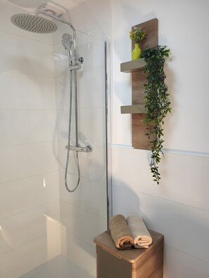 Shower, hair dryer, towels