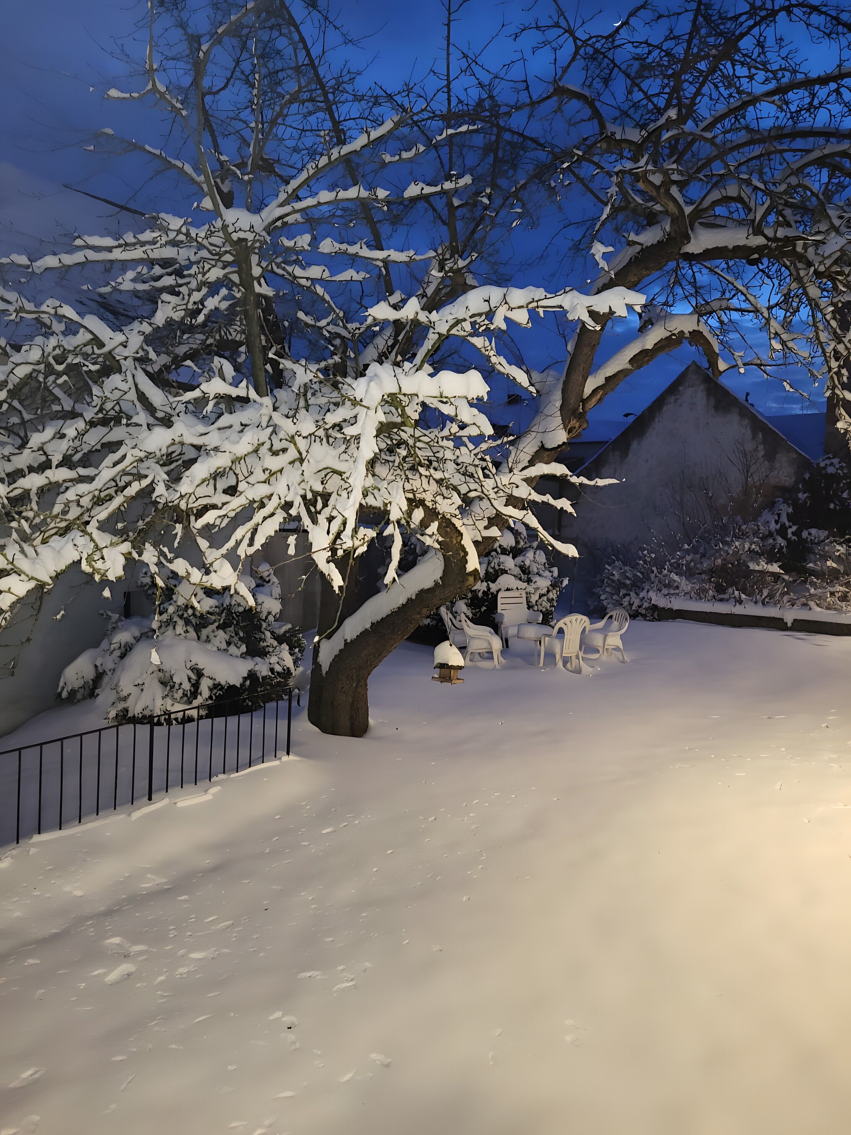 Parco della struttura