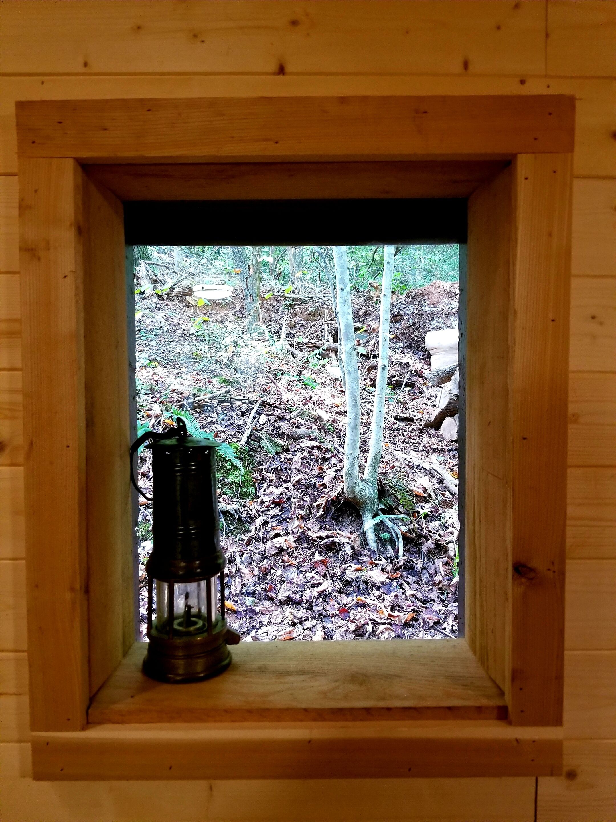 A wooden window with a lantern inside, surrounded by a forested area.
