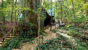 Metsäinen alue, jossa on puinen portaikko, joka johtaa katettuun rakennelmaan.