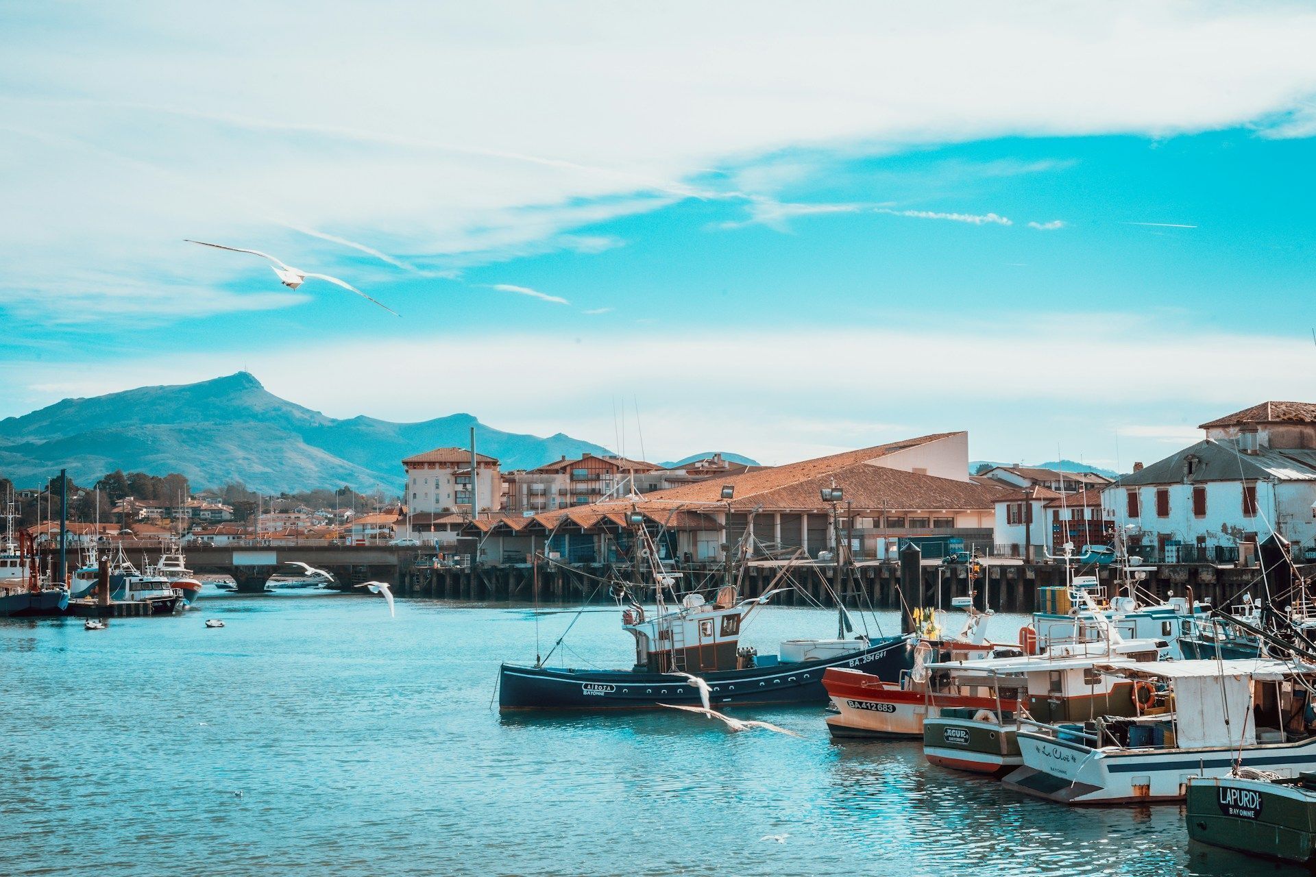 Marina