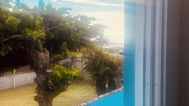 A window with a view of a swimming pool, surrounded by greenery and a palm tree. - Comfort and fun. Beachfront. Small pets are accepted. (Itanhaém)