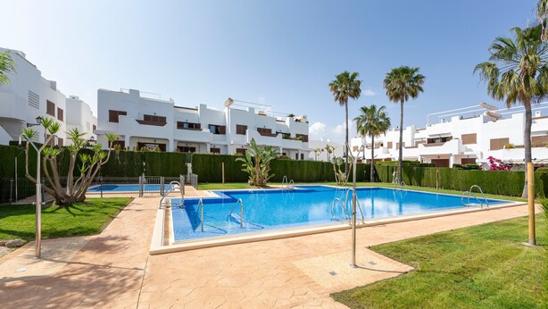 Una piscina con borde de baldosas, rodeada de césped cuidado y palmeras.